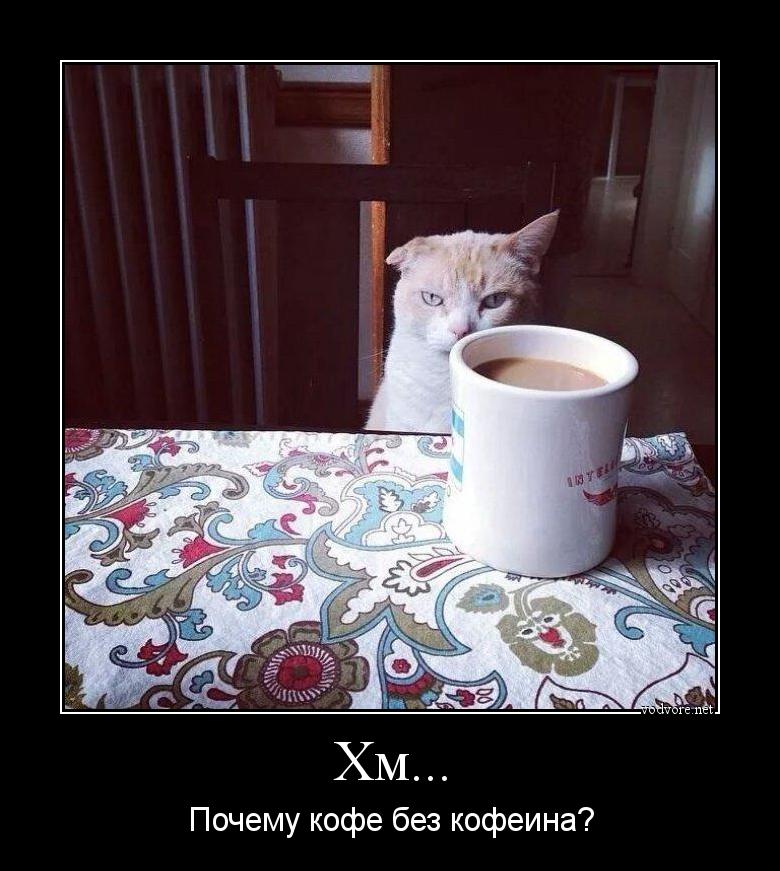 Демотиватор: Хм... Почему кофе без кофеина?