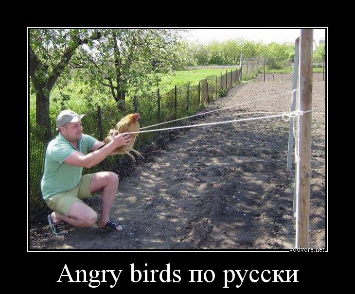 Демотиватор: Angry Birds по русски 