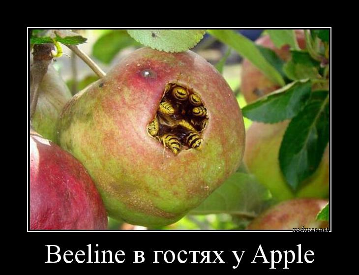 Демотиватор: Beeline в гостях у Apple 