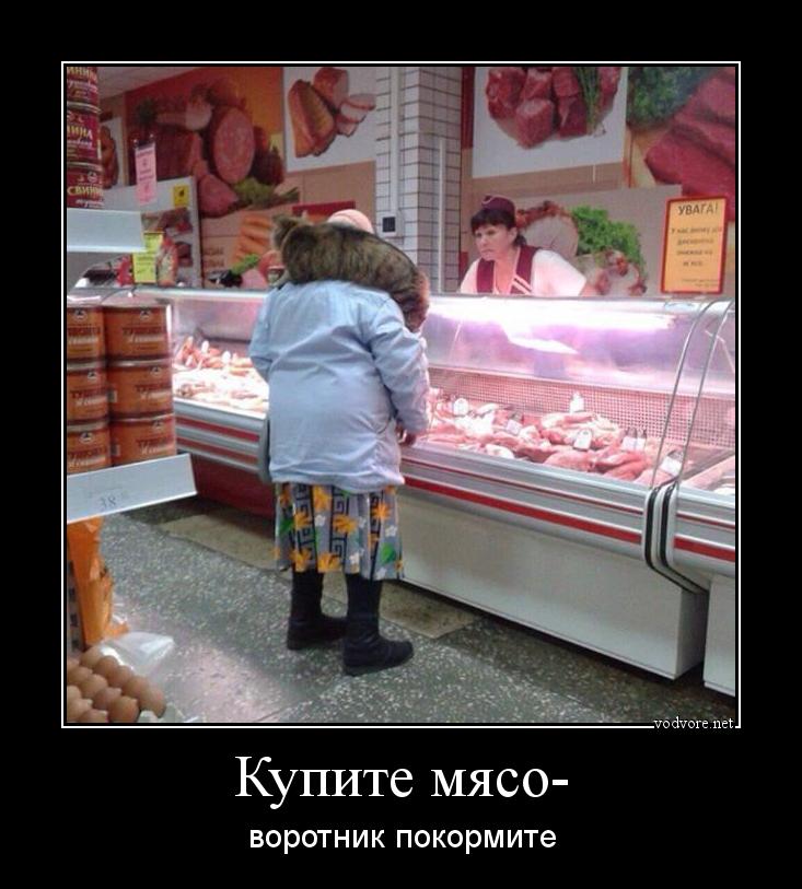 Демотиватор: Купите мясо- воротник покормите