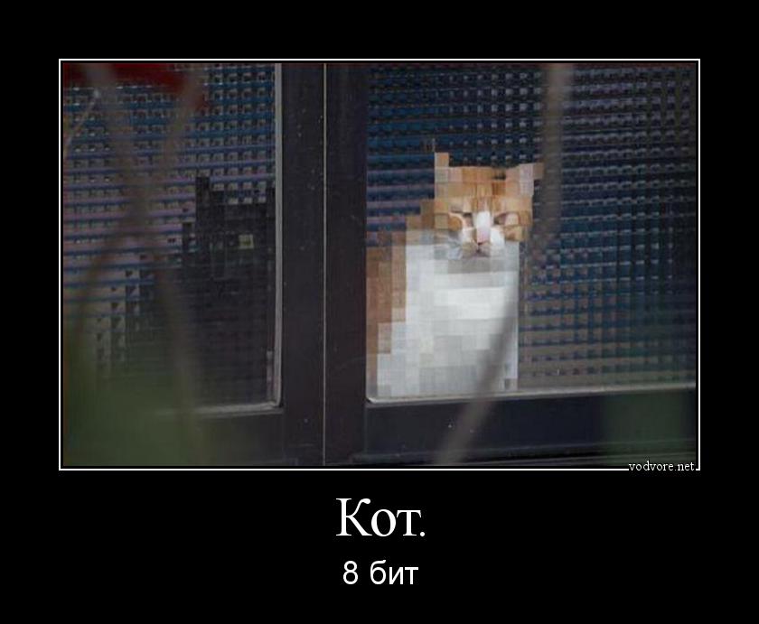 Демотиватор: Кот. 8 бит