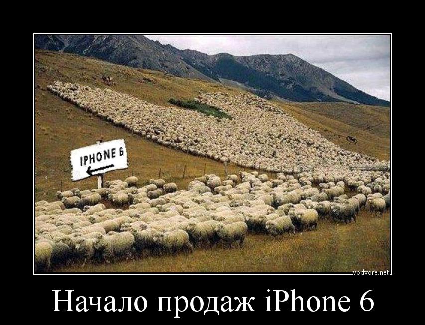 Демотиватор: Начало продаж iPhone 6 