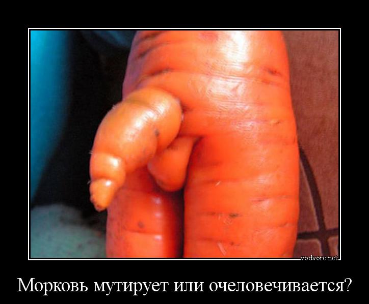 Демотиватор: Морковь мутирует или очеловечивается? 