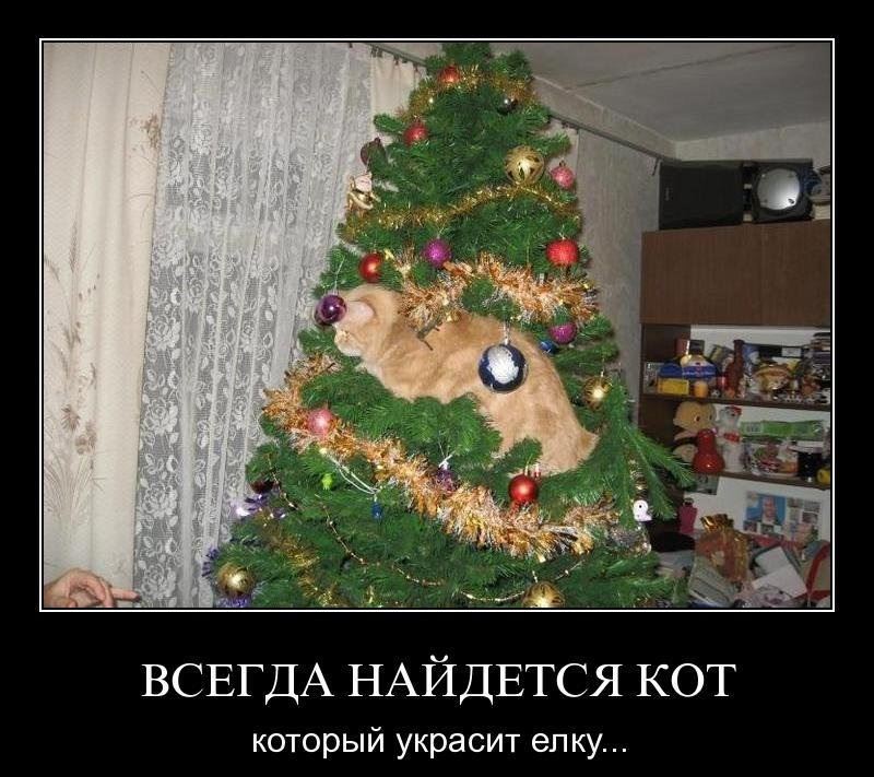 Демотиватор: Всегда найдется кот, который украсит елку...