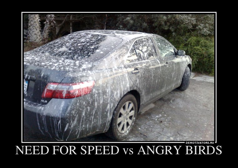 Демотиватор: Need for speed vs Angry Birds