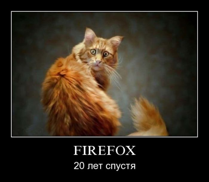 Демотиватор: Firefox 20 лет спустя