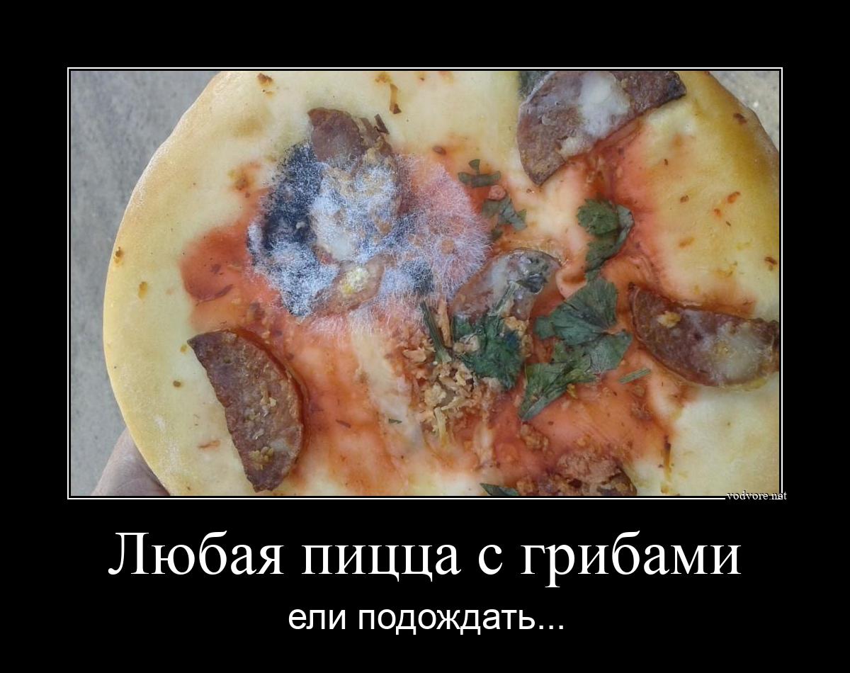 Демотиватор: Любая пицца с грибами ели подождать...