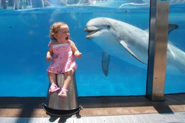 Прикол: Вот почему я с детства недолюбливаю дельфинов