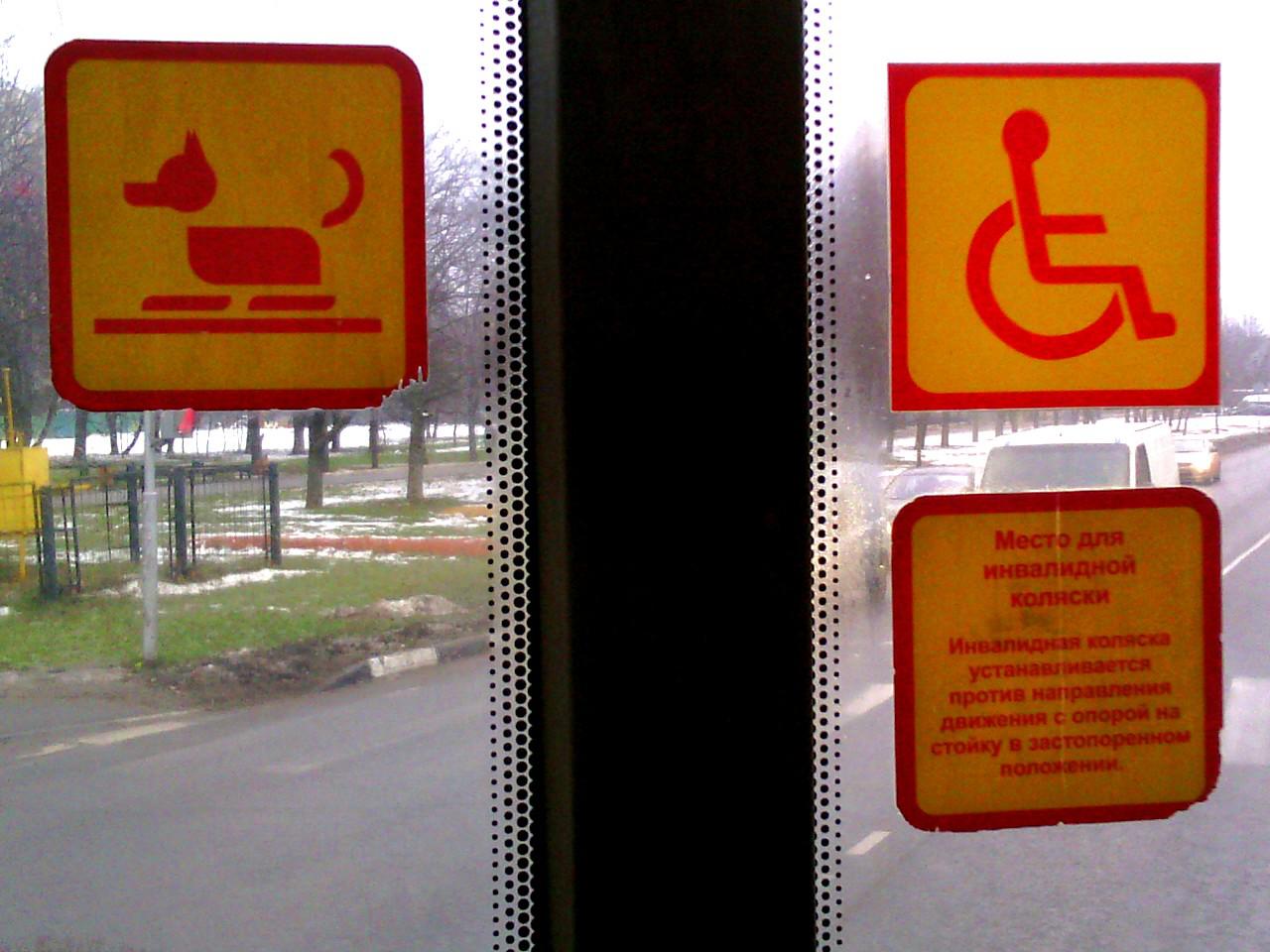 Прикол: Места для инвалидов в колясках и собак на лыжах!