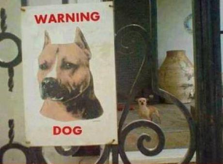 Прикол: Осторожно, злая собака