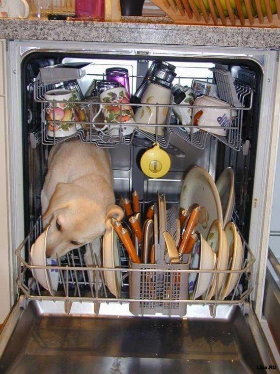 Прикол: Посудомоечная машина. Работа изнутри