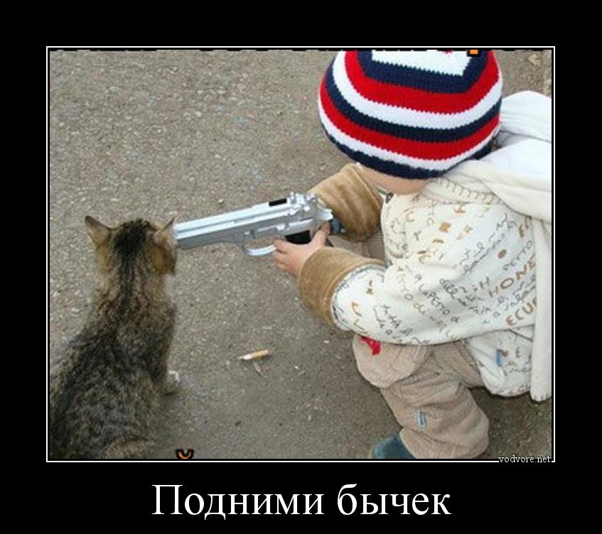 Кот угрожает. Смешные угрозы. Кот с пистолетом. Смешные угрожающие картинки. Кот с пистолетом угрожает Мем.