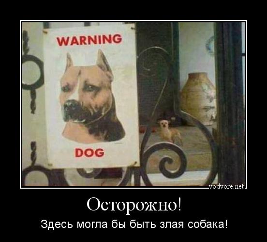 Демотиватор: Осторожно! Здесь могла бы быть злая собака!