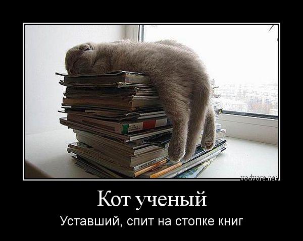 Демотиватор: Кот ученый Уставший, спит на стопке книг