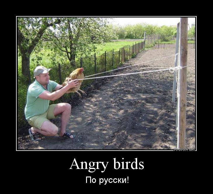 Демотиватор: Angry birds По русски!