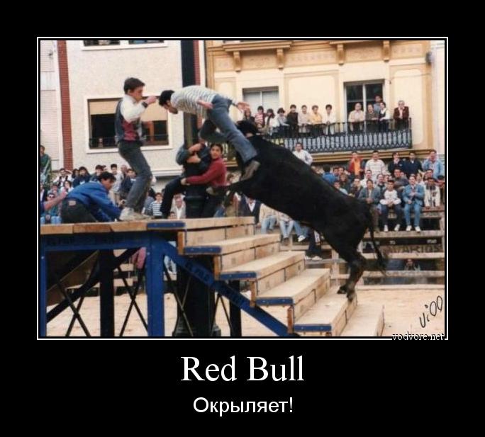 Демотиватор: Red Bull Окрыляет!