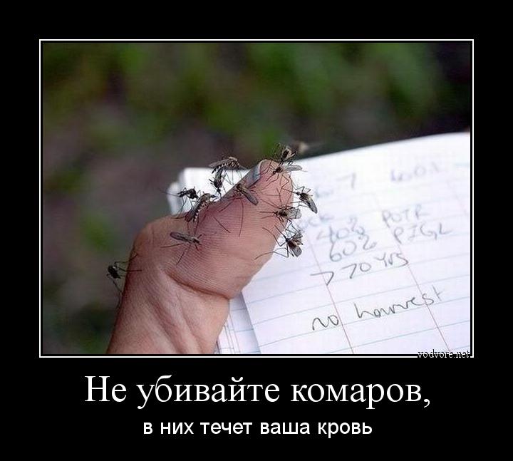 Демотиватор: Не убивайте комаров, в них течет ваша кровь)