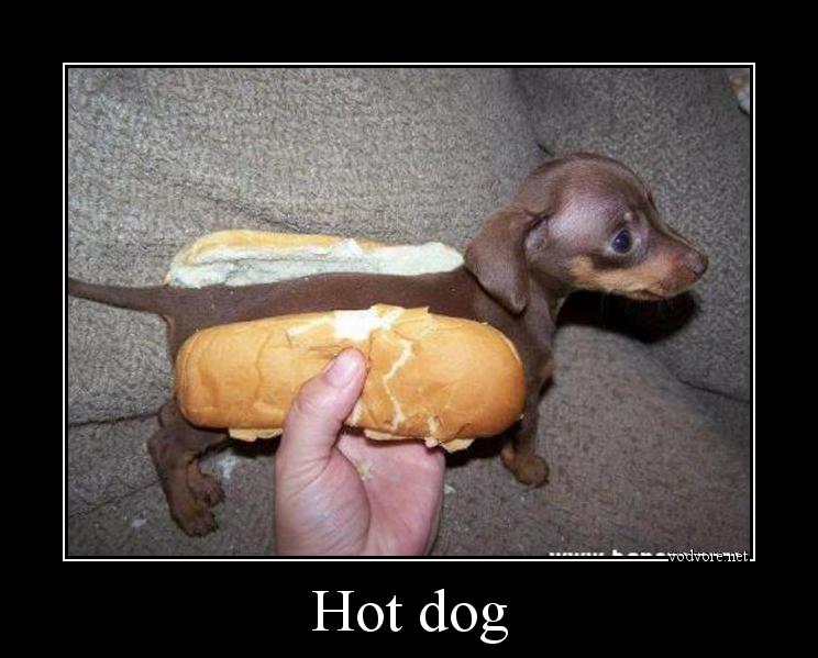 Демотиватор: Hot dog 