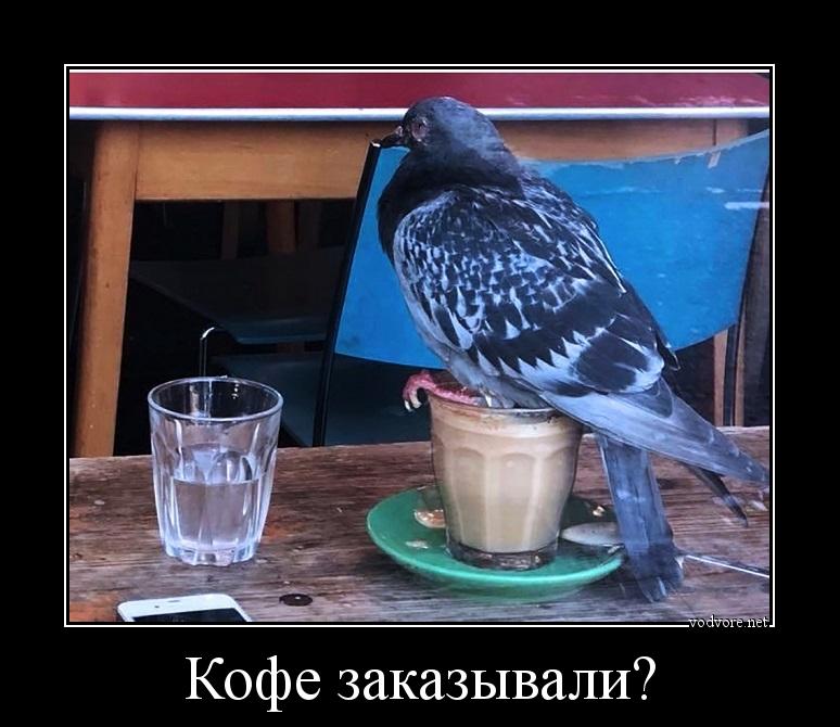 Демотиватор: Кофе заказывали? 