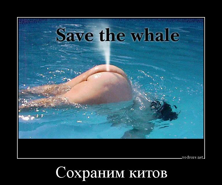 Демотиватор: Сохраним китов