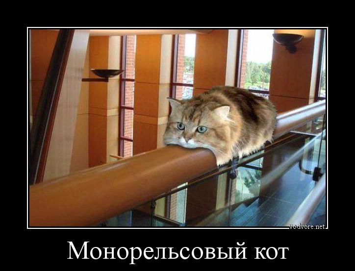 Демотиватор: Монорельсовый кот 
