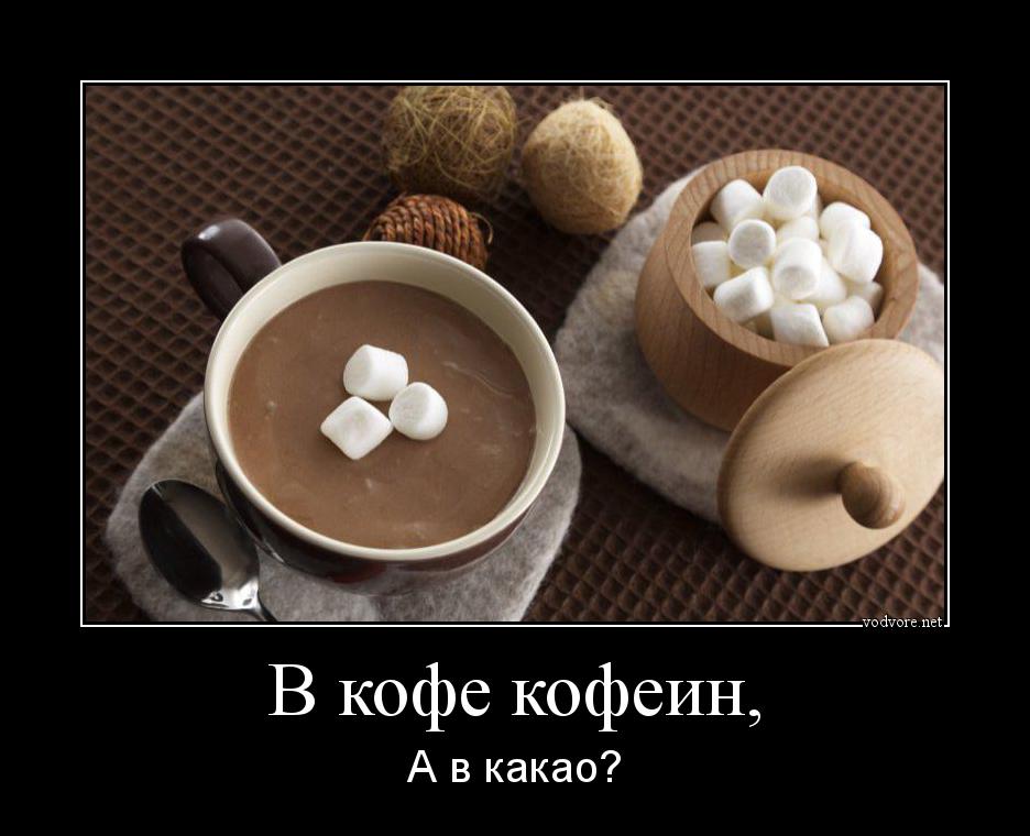 Демотиватор: В кофе кофеин, а в какао?