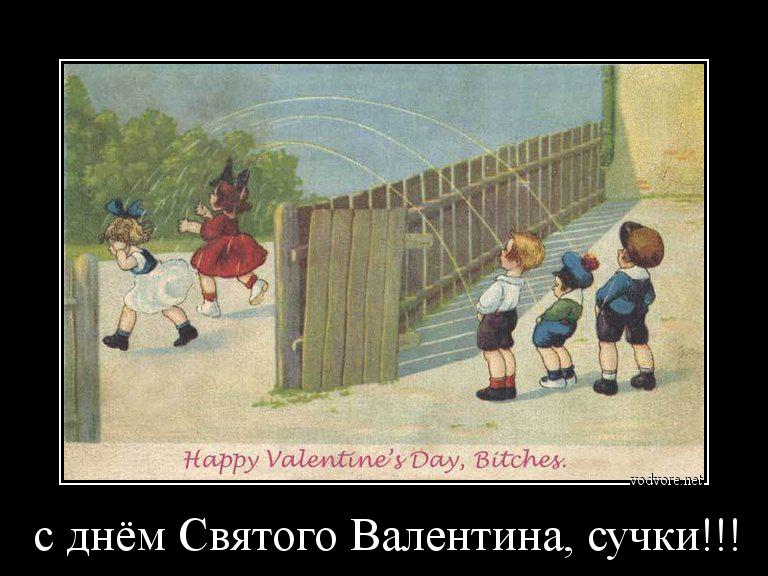 Демотиватор: с днём Святого Валентина, сучки!!! 