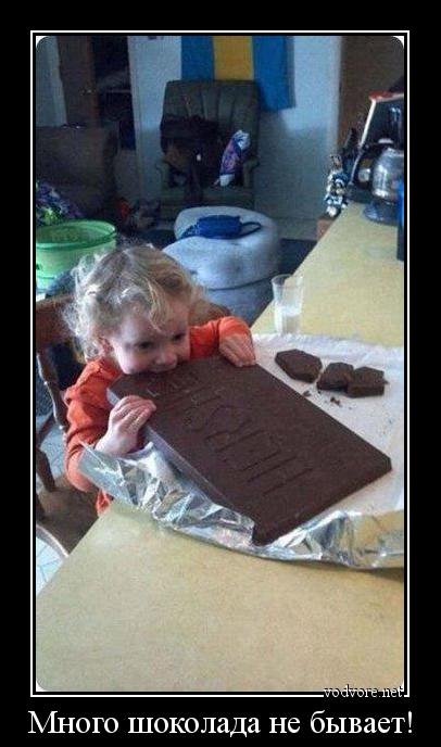Демотиватор: Много шоколада не бывает! 