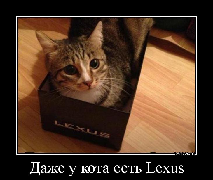 Демотиватор: Даже у кота есть Lexus 