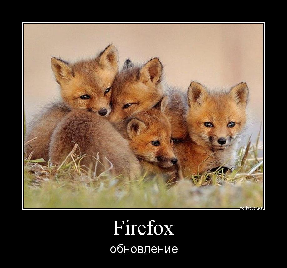 Демотиватор: Firefox обновление