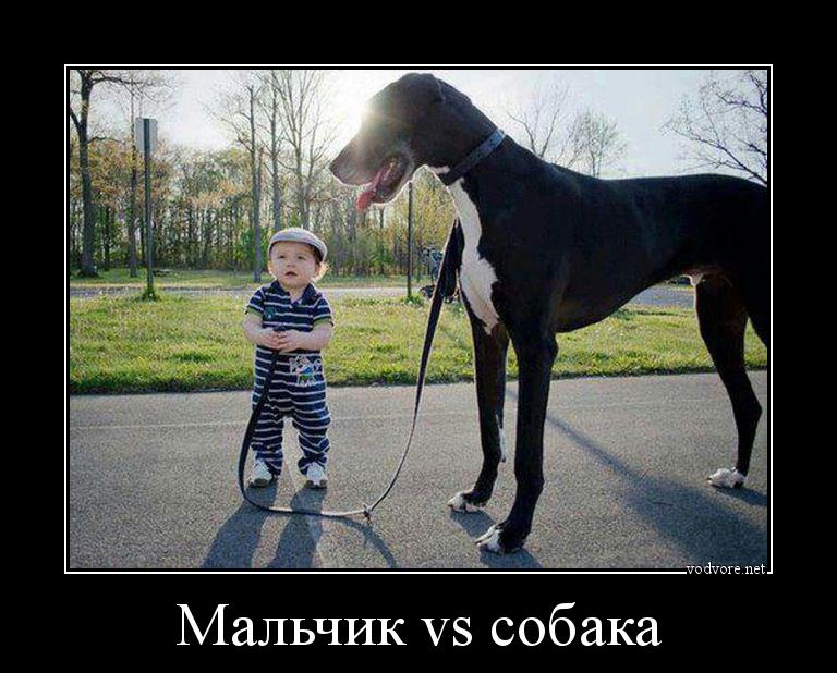 Демотиватор: Мальчик vs собака 