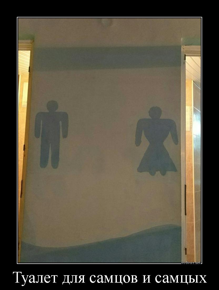 Демотиватор: Туалет для самцов и самцых 