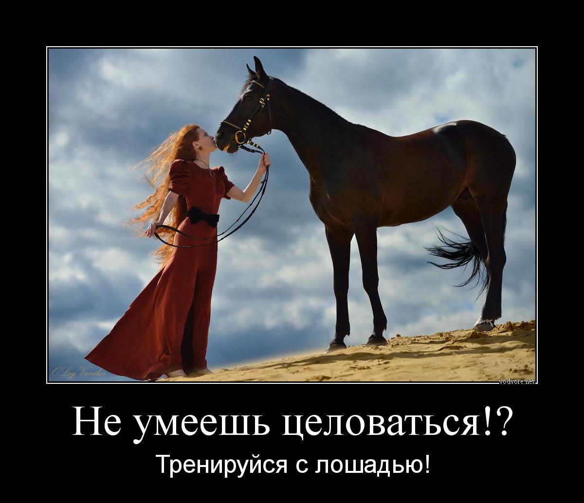Демотиватор: Не умеешь целоваться!? Тренируйся с лошадью!