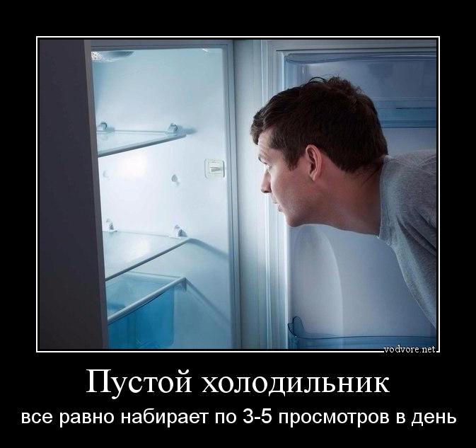Демотиватор: Пустой холодильник все равно набирает по 3-5 просмотров в день