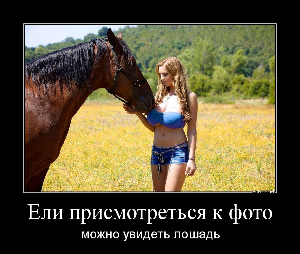 Демотиватор: Ели присмотреться к фото, можно увидеть лошадь