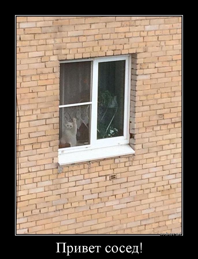 Демотиватор: Привет сосед! 