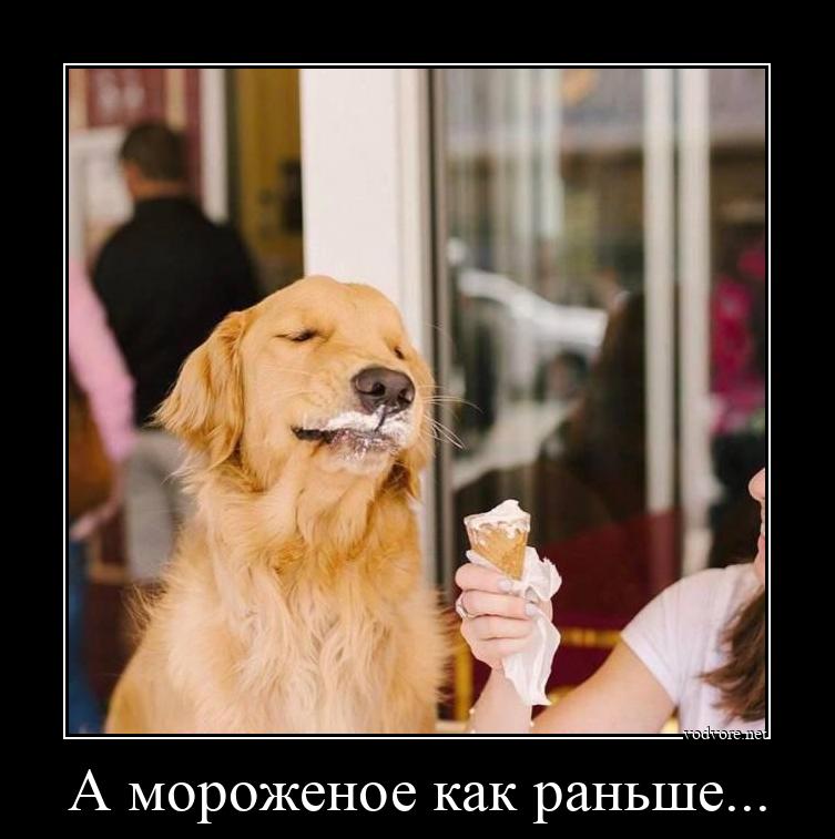 Демотиватор: А мороженое как раньше... 