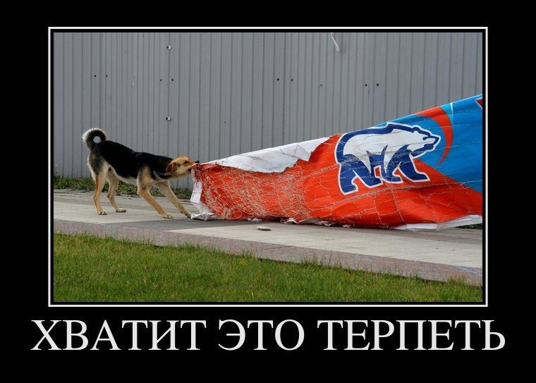 Почему русские терпят. Собака коммуняка. Я русский демотиватор. Демотиваторы про русских. Единая Россия демотиваторы собака.