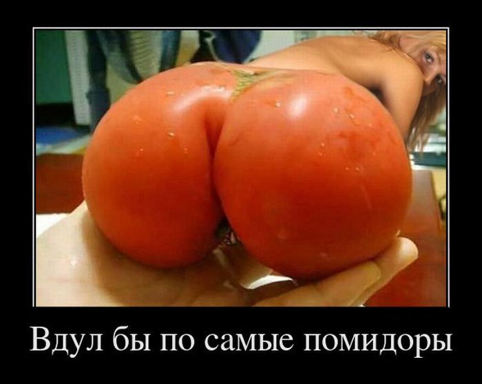 Демотиватор: Вдул бы по самые помидоры