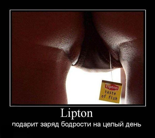 Демотиватор: Lipton подарит заряд бодрости на целый день