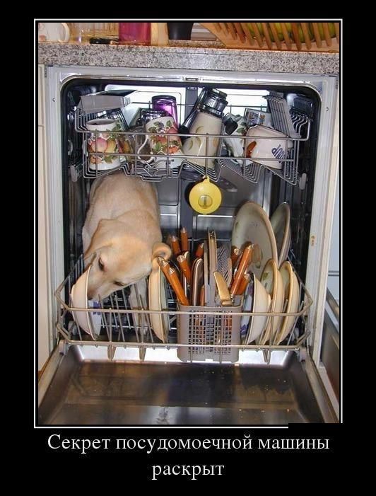 Демотиватор: Секрет посудомоечной машины раскрыт