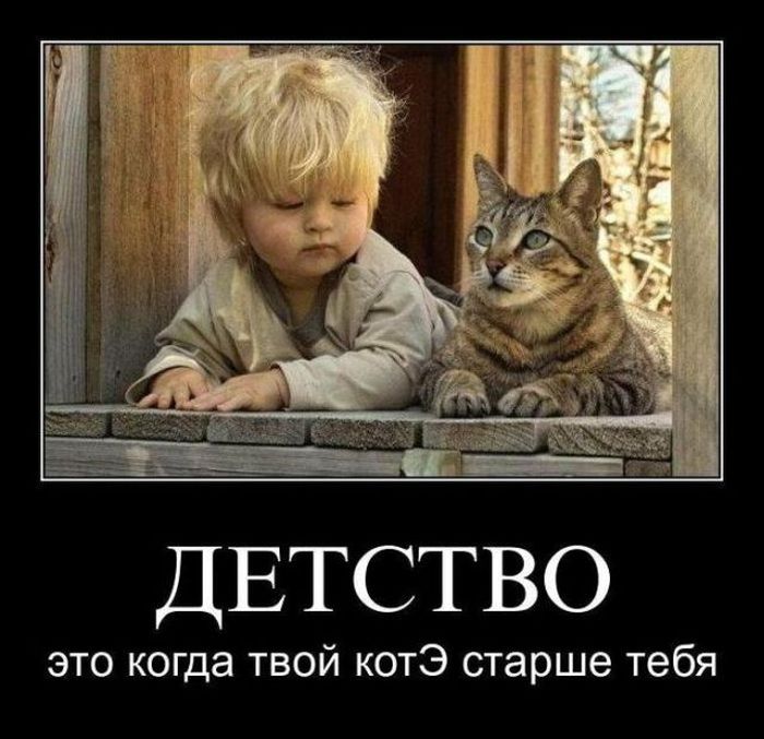 Демотиватор: Детство - это когда твой котЭ старше тебя