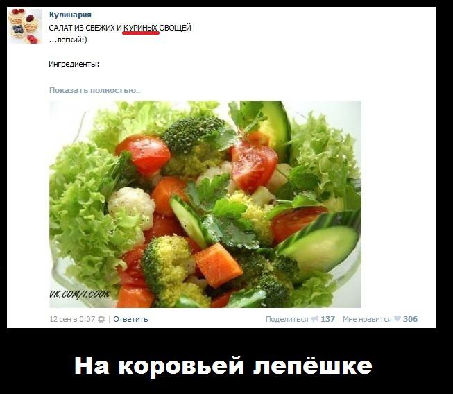 Демотиватор: Салат из куриных овощей