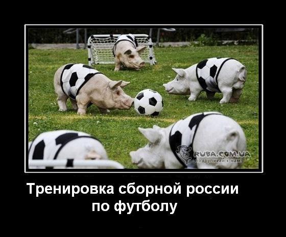 Демотиватор: Тренировка сборной россии по футболу