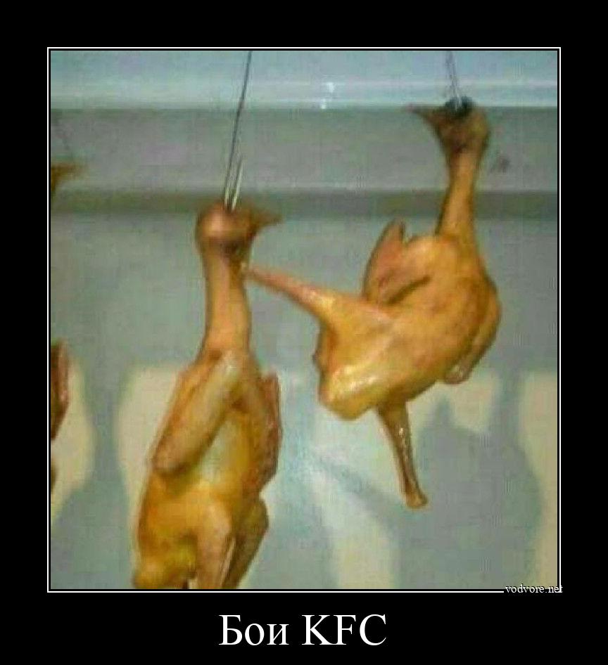 Демотиватор: Бои KFC 