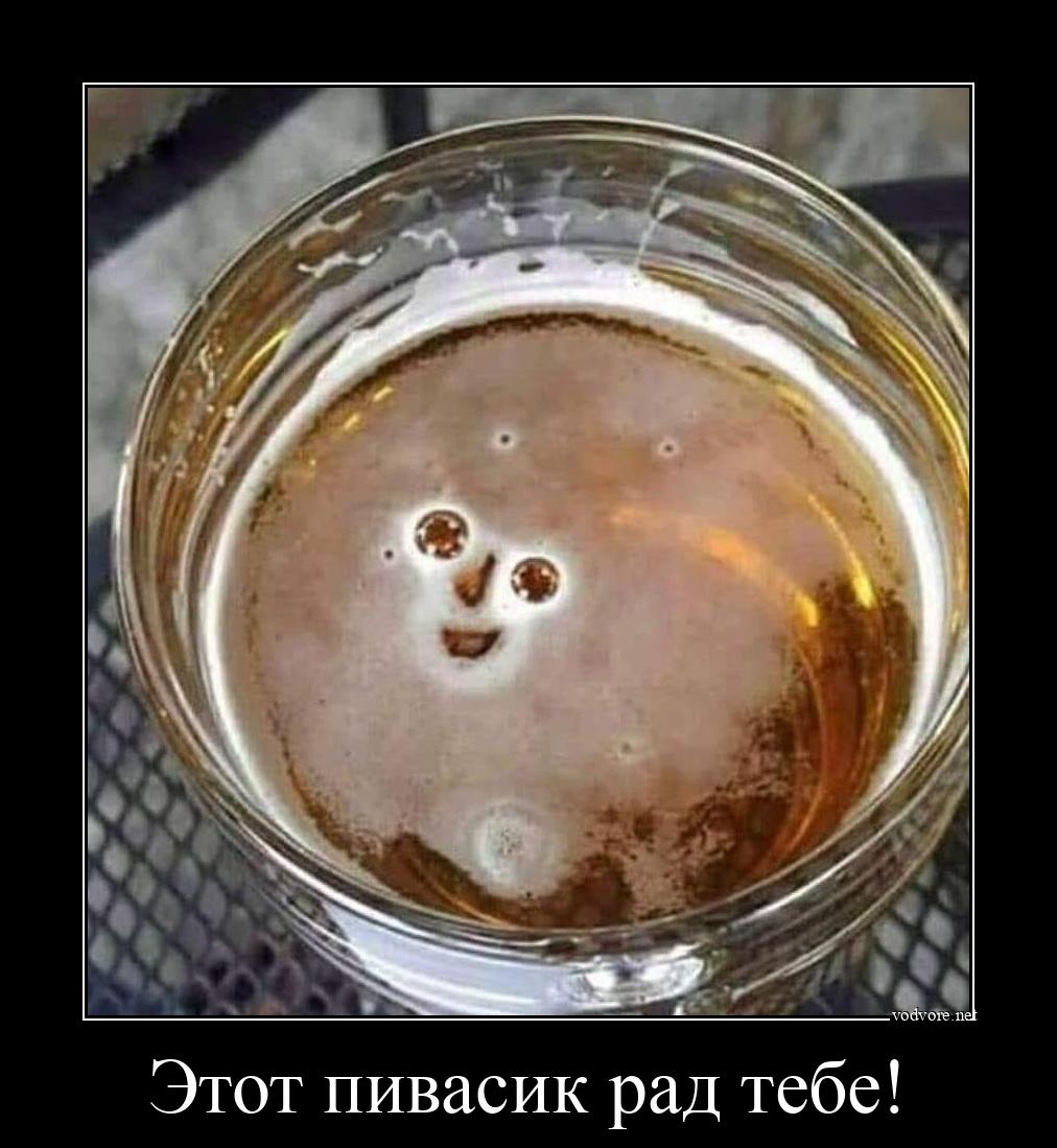 Демотиватор: Этот пивасик рад тебе! 