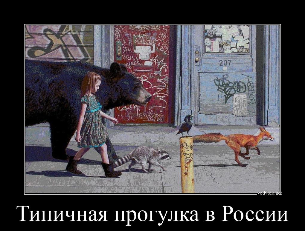 Демотиватор: Типичная прогулка в России 