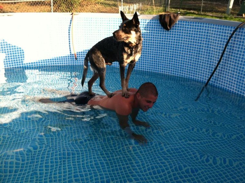 Прикол: Пес не любит купаться