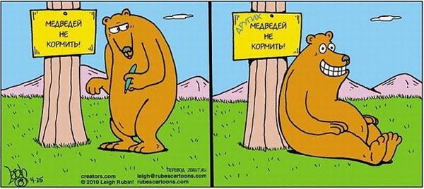Прикол: Других медведей не кормить!