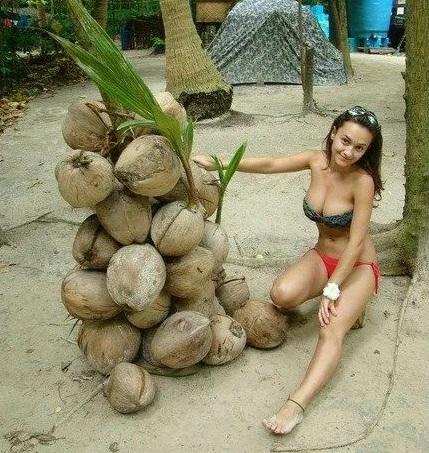 Прикол: Смотри какие кокосы!
